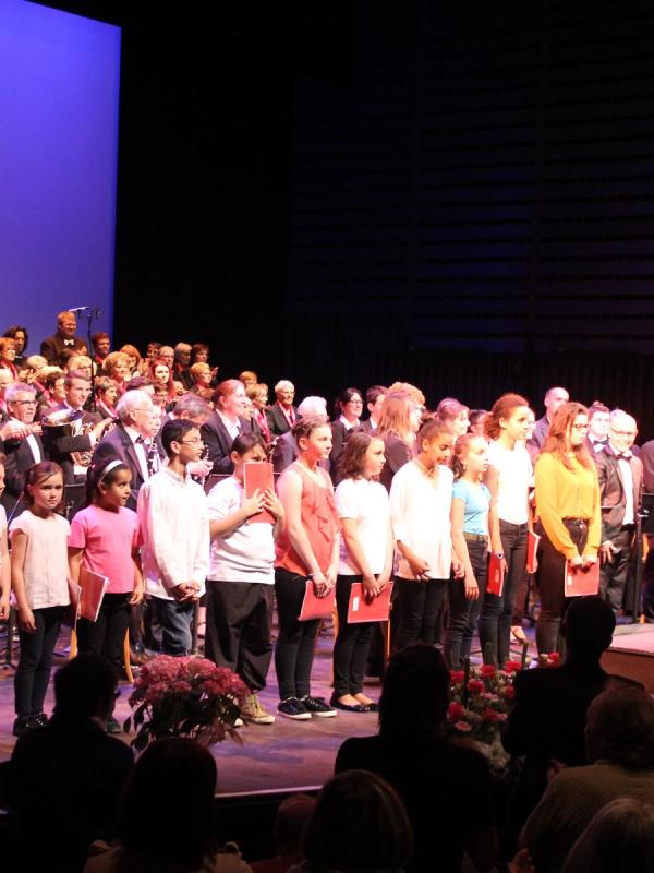 Dogora